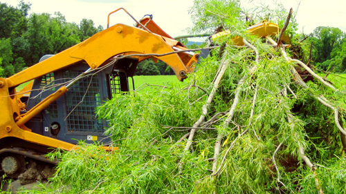 Land Clearing North Bay